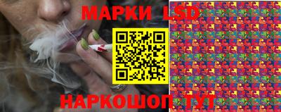 гидропоника Кунгур