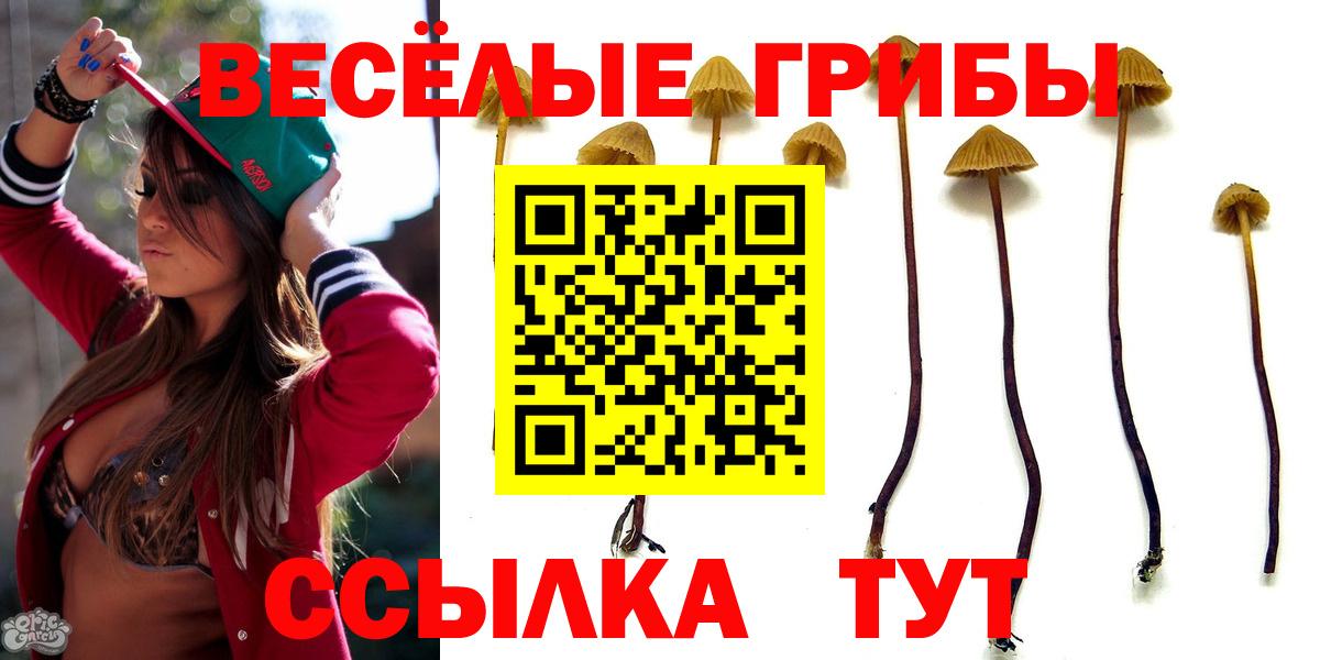 Ишим  Галлюциногенные грибы GOLDEN TEACHER  Псилоцибиновые грибы ЛСД  Вход с VPN 